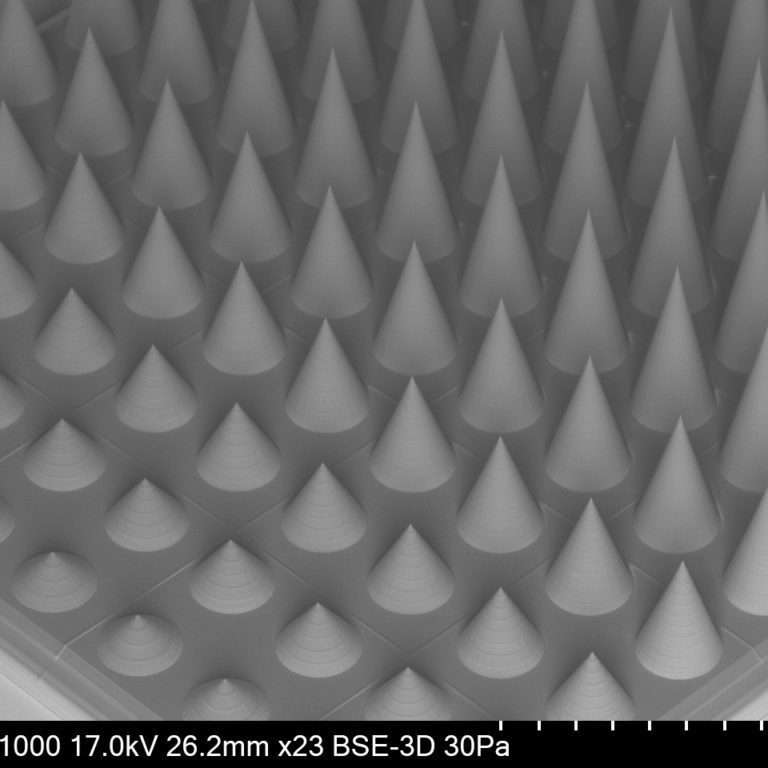 REM photo: array of micro needles